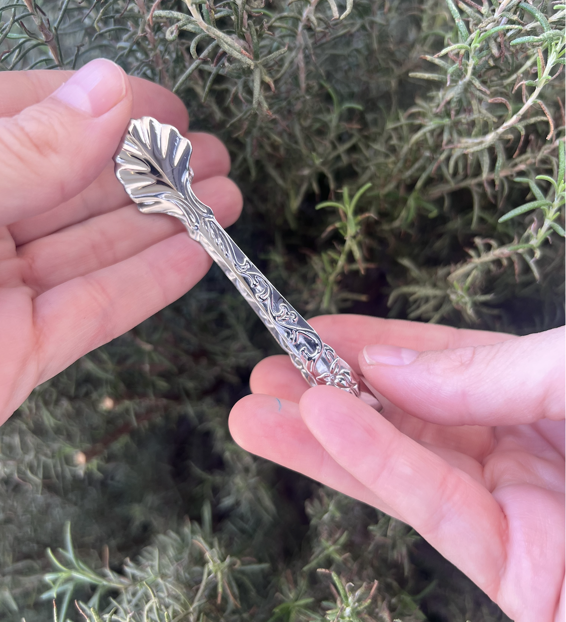 Pinzas para carbón⎮Concha plateada